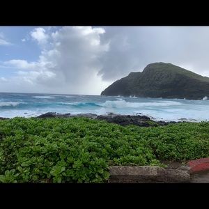 Meet your Posher, Isabel